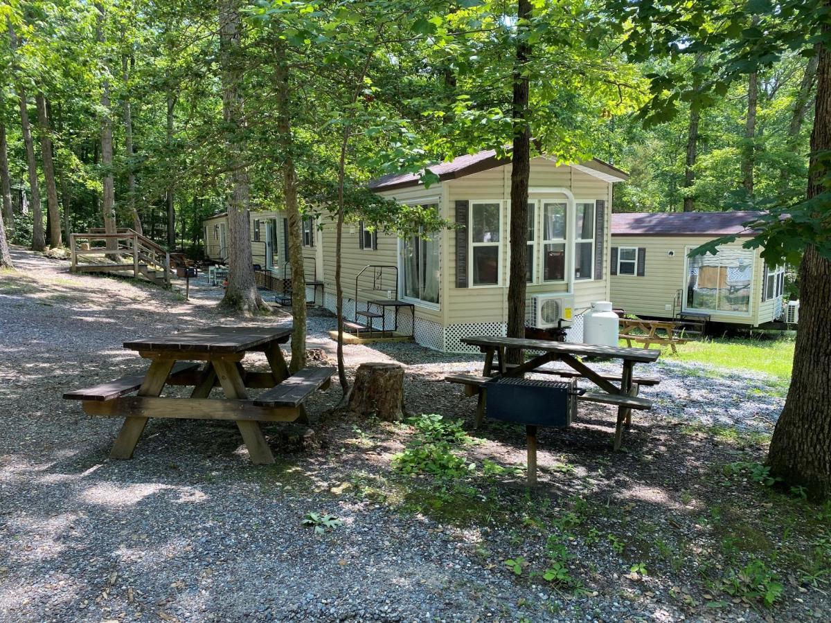 The Vintage Rv'S At Wilderness Presidential Camp Resort By Tripforth Spotsylvania Eksteriør billede