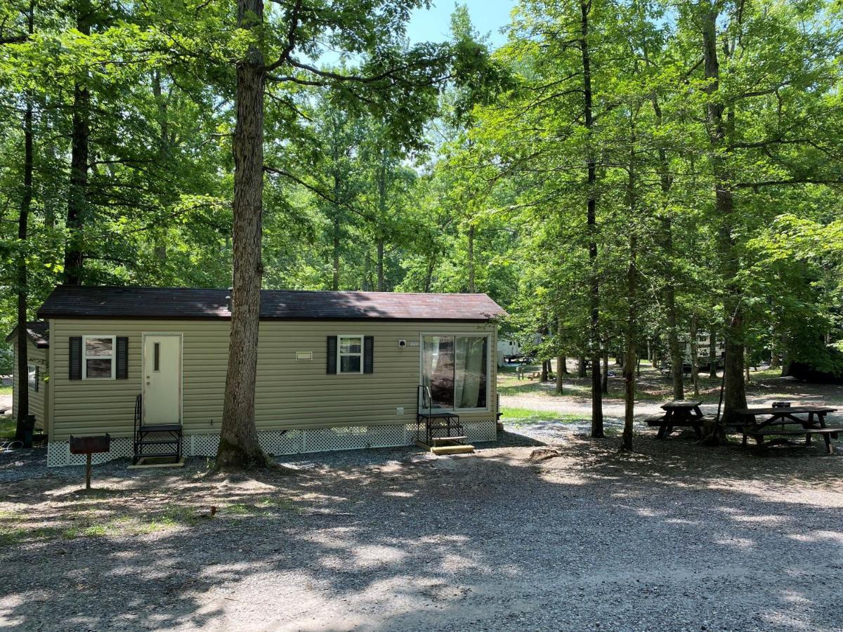 The Vintage Rv'S At Wilderness Presidential Camp Resort By Tripforth Spotsylvania Eksteriør billede